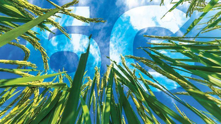 Universidade brasileira estuda White Spaces para o 6G